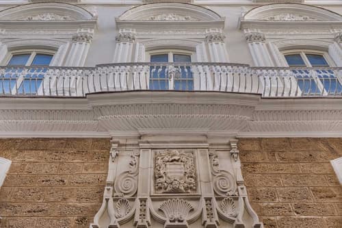 Aurea Casa Palacio Sagasta, General view