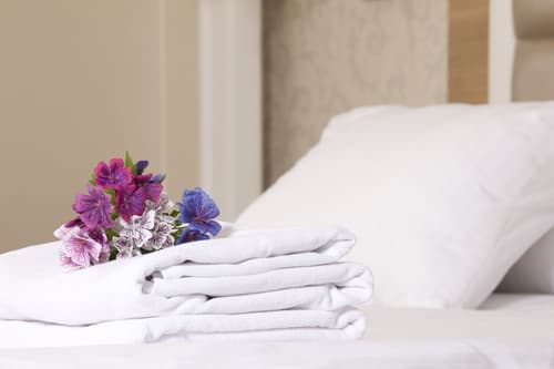 Aurea Casa Palacio Sagasta, Room