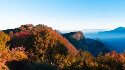 Hotel Indigo Alishan, General view
