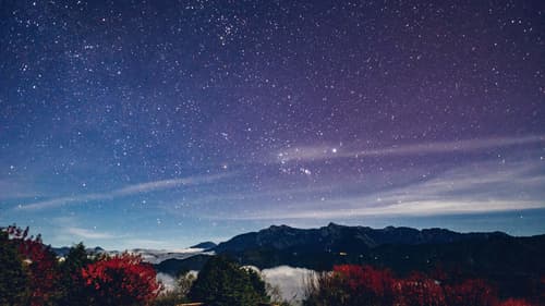 Hotel Indigo Alishan, General view