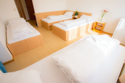 Mynext - Summer Hostel Salzburg, 