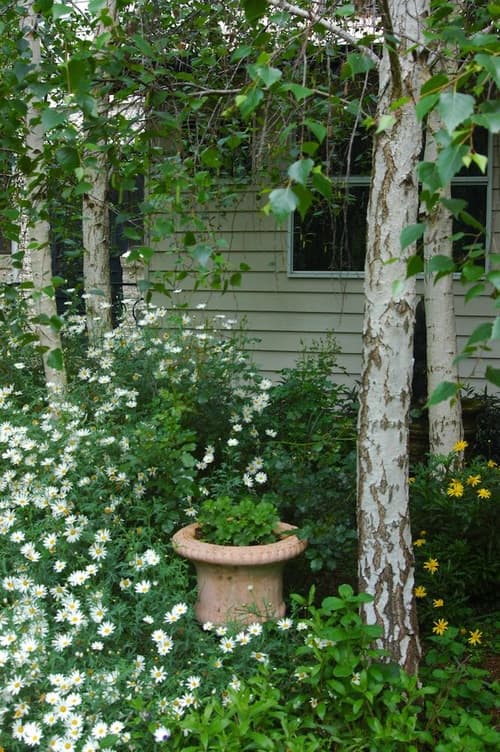 Rosewood Guesthouse, 