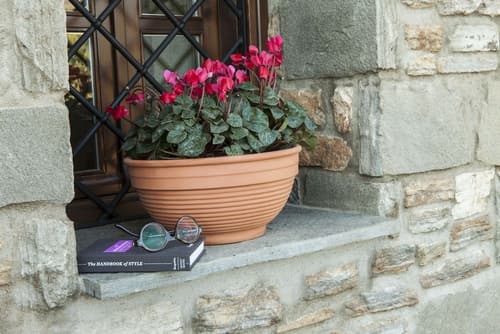 Elaion Terra Boutique Guesthouse, 