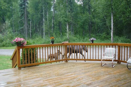 Meandering Moose Lodging, 