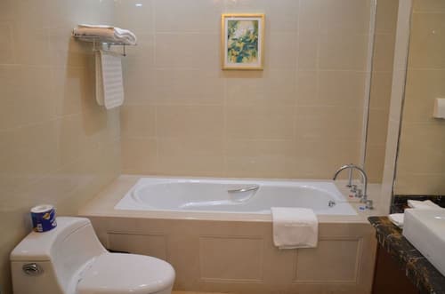 Soluxe Hotel Niamey, 