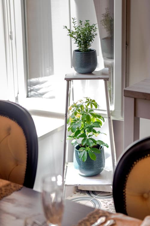 Heritage suites Zanini, 