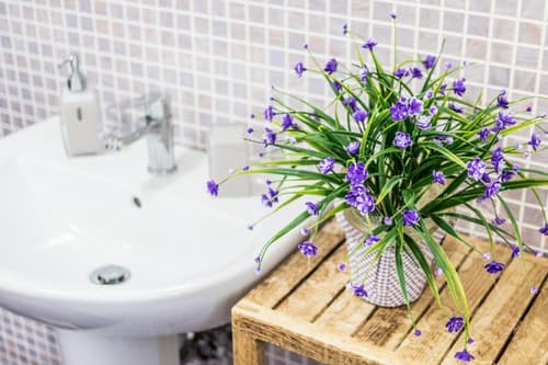 Residenza il Casone, 