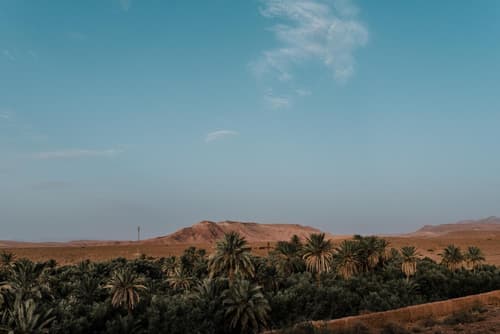 Kasbah Petit Nomade, 