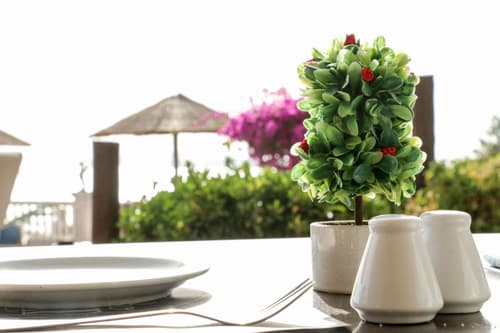 Tereza's Sunset Hotel, 