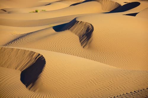 Bivouac La Dune Blanche, 