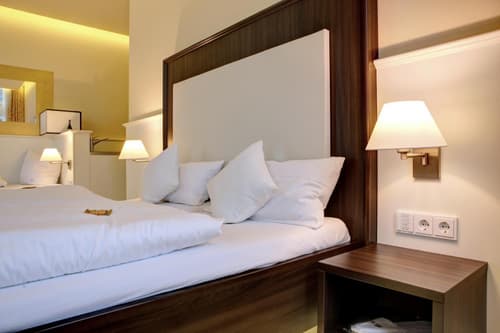 The Heidelberg Exzellenz Hotel, 