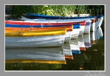 D. Carlos Residencial, 