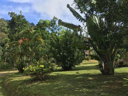 Khao Sok Hill Top Resort, 