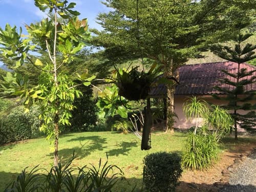 Khao Sok Hill Top Resort, 