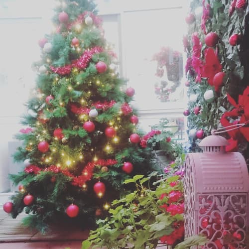 Il Cortiletto Di Piazza Verga, 