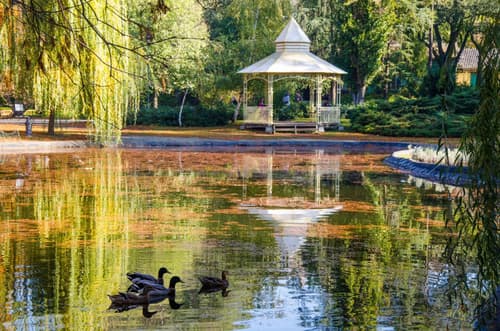 Lanterna Rooms City Center, 