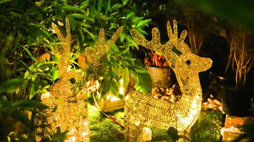 Aiyaree Place Hotel SHA PLUS, 