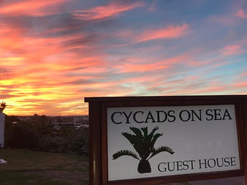 Cycads on Sea Guest House, 