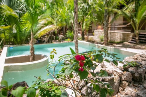 Hotel Buenavista Bacalar Jungle Experience, 