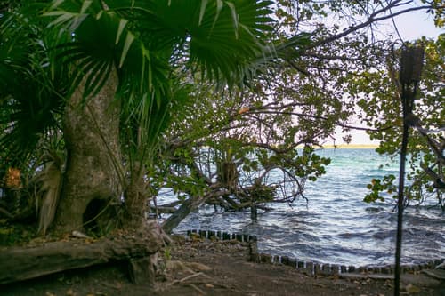 Hotel Buenavista Bacalar Jungle Experience, 