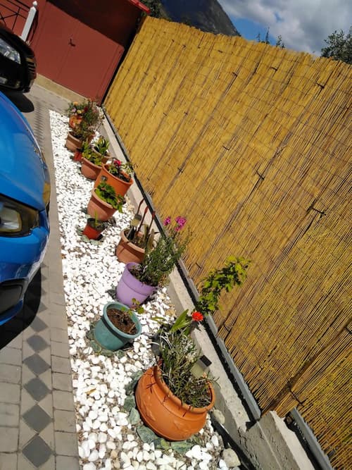 Stella 's Sea Front Apartments, 