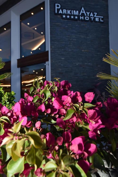 Parkim Ayaz Hotel, 