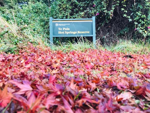 Te Puia Hot Springs Hotel, 