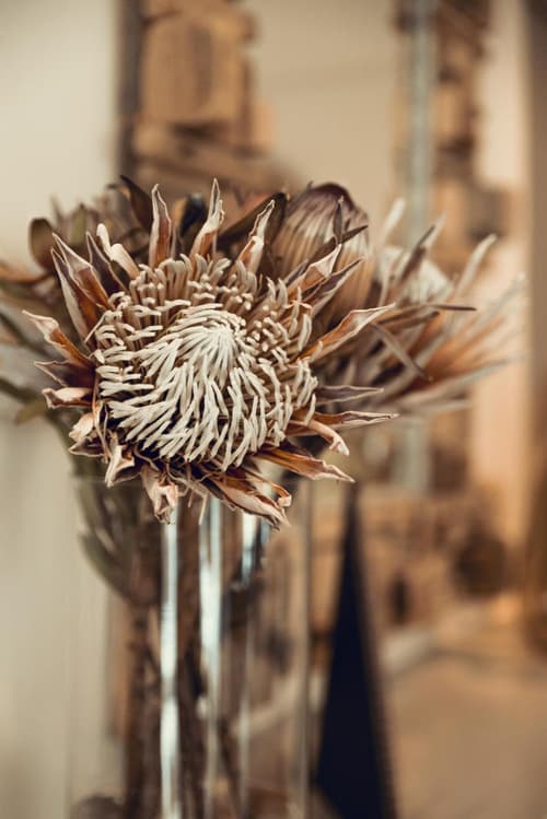 Antrim Villa by Totalstay, 