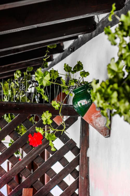 Hotel Rural Plaza Mayor Chinchon, 