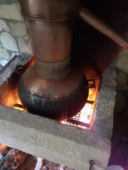 Aromas dos Salgueiros, 