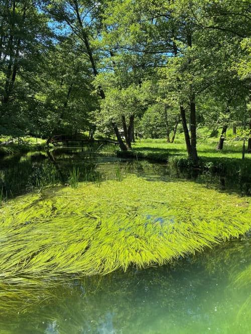 Hotel Plivsko jezero, 