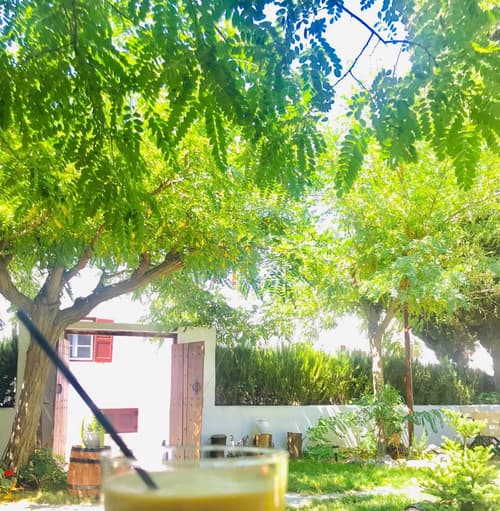 Giannakis Filoxenia, 