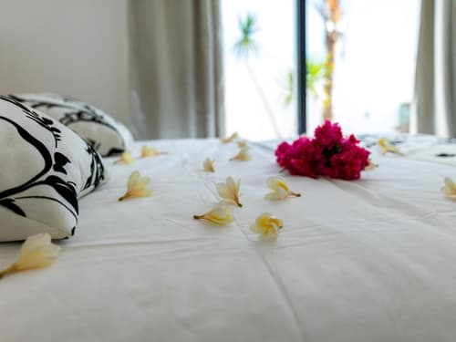 Résidence Les Alizés, 