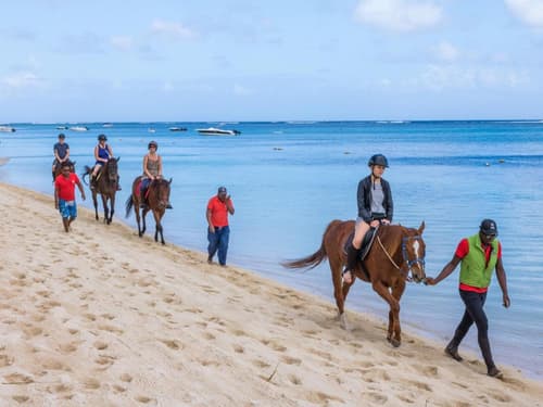Résidence Les Alizés, 