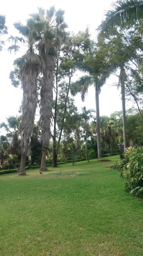 St George's Guest House, 