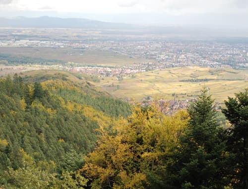 Cottage 1956 - Maison d'hôtes, 