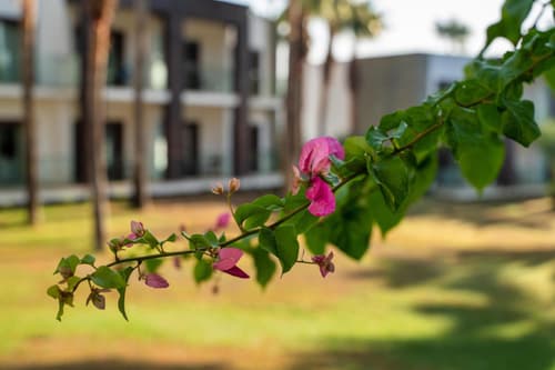 Hillstone Bodrum Hotel & Spa, 