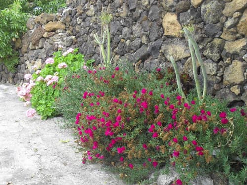Casa Rural Abuelo Pancho, 