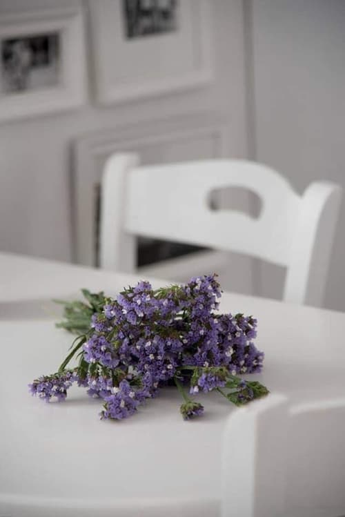 Fisilanis Beachfront Hotel, 