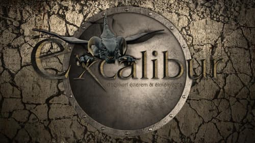 Excalibur miniHotel, 