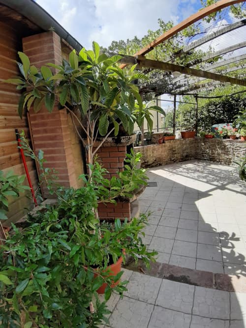 La casa in giardino, 