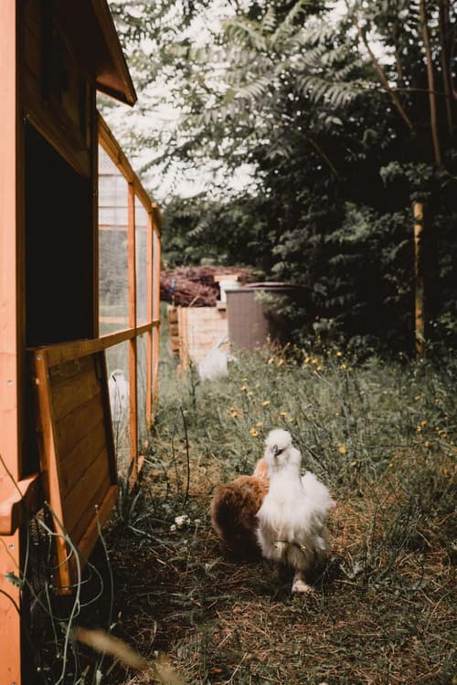 Hotel Restaurant La Musardiere, 