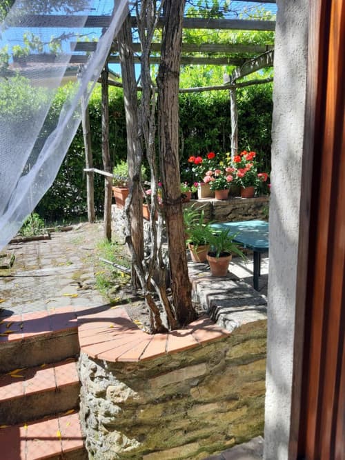 La casa in giardino, 