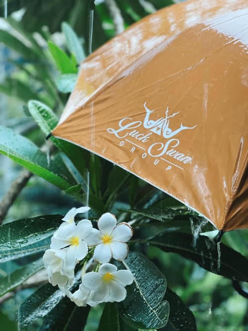 Luckswan Resort Chiang Rai - SHA Extra Plus, 