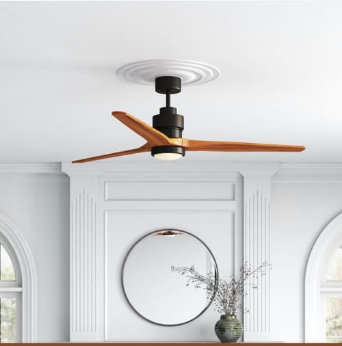 Queen Anne's Revenge, 