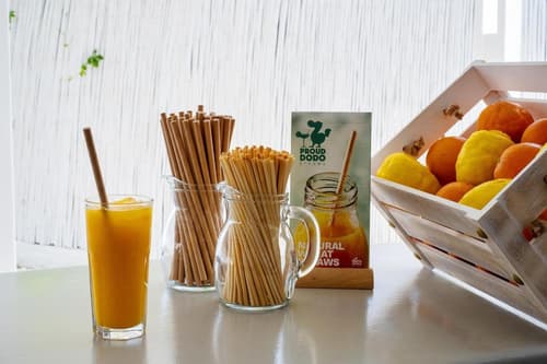 Fisilanis Beachfront Hotel, 