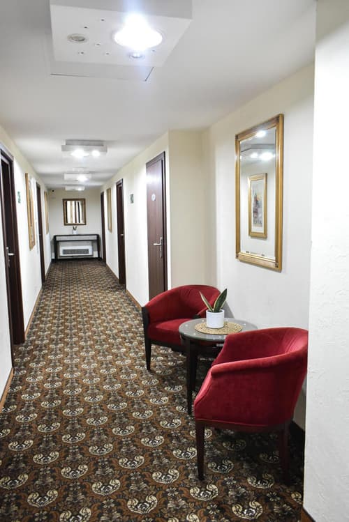 Great Polonia Kraków Kazimierz, 