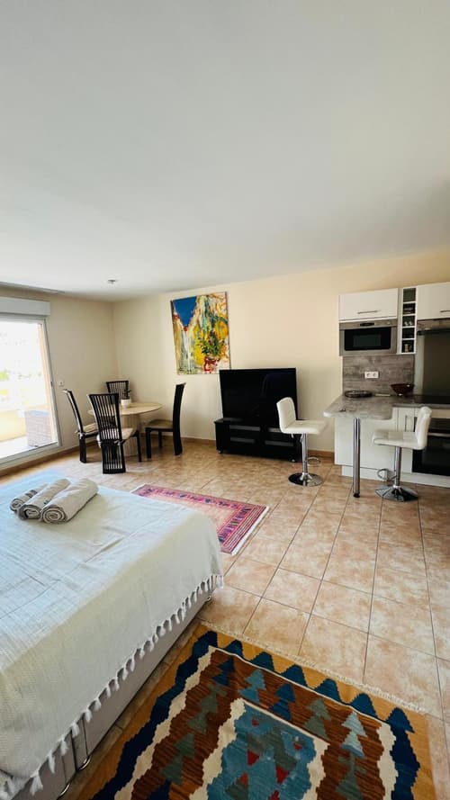 Mari stunning apartment next to Monaco with a sea view terrace, 