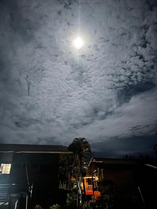 Perla Negra Beachfront, 