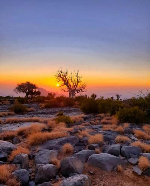 Jebel Shams Sunrise Resort جبل شمس منتجع شروق الشمس, 